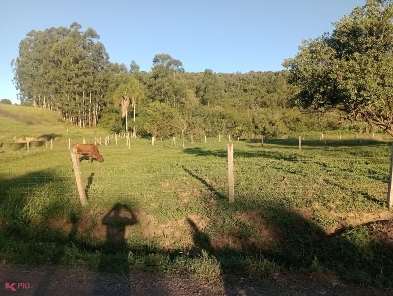 Imóvel 562