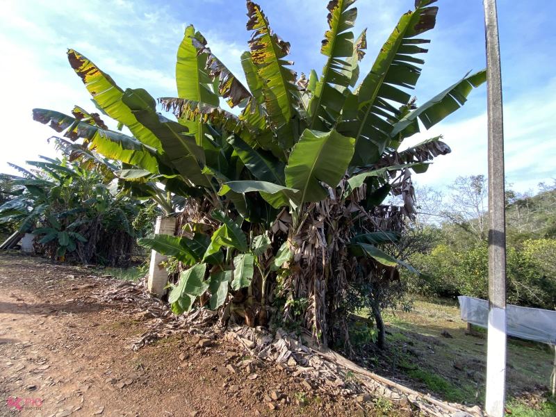 Imóvel 870