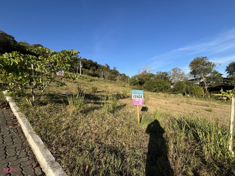 Imóvel 903